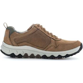 Chaussures Homme Baskets mode Pius Gabor 8005.11.03 Marron