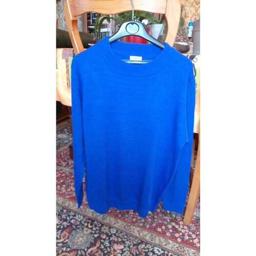 Vêtements Femme Pulls Damart Pull Damart Bleu