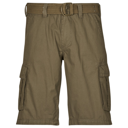 Vêtements Homme Shorts / Bermudas Teddy Smith SYTRO 3 Marron