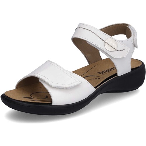 Chaussures Femme Sandales et Nu-pieds Westland Ibiza 79 