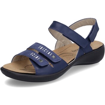 Chaussures Femme Sandales et Nu-pieds Westland Ibiza 86 