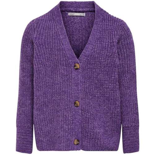 Vêtements Fille Gilets / Cardigans Only 156139VTAH23 Violet