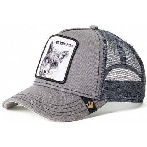 Accessoires textile Casquettes Goorin Bros Casquette Gris