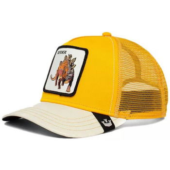 Accessoires textile Casquettes Goorin Bros Casquette Jaune