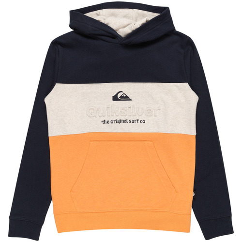 Vêtements Garçon Polaires Quiksilver Emboss Block Bleu