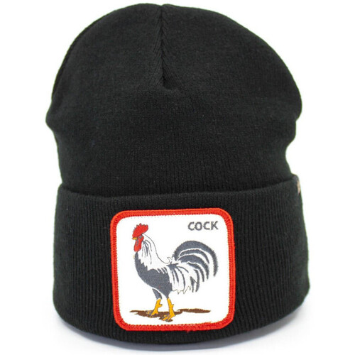 Accessoires textile Bonnets Goorin Bros -WINTER BIRD 107-0117 Noir