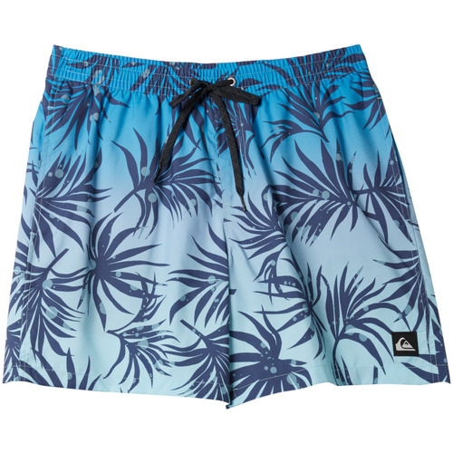 Vêtements Garçon Maillots / Shorts de bain Quiksilver Everyday Mix Volley Bleu