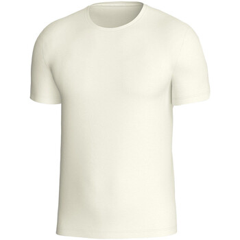 Vêtements Homme T-shirts manches courtes Impetus Premium Wool Blanc