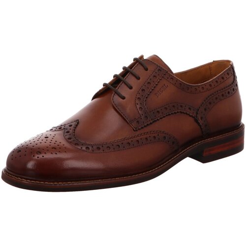 Chaussures Homme Derbies & Richelieu Digel  Marron