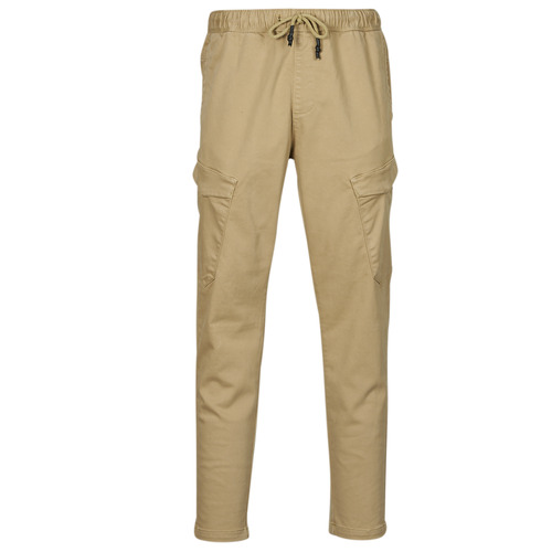 Vêtements Homme Pantalons cargo Teddy Smith PIKY CARGO Beige