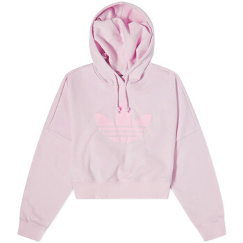 Vêtements Femme Sweats adidas Originals HU1608-B Rose