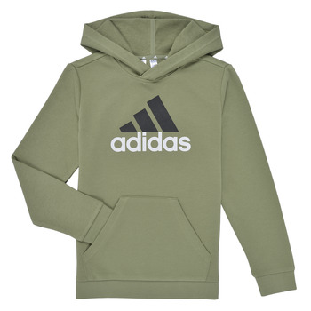 Vêtements Garçon Sweats Adidas Sportswear Essentials Two-Colored Big Logo Cotton Hoodie Vert / Noir