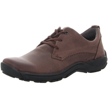 Chaussures Homme Derbies & Richelieu Josef Seibel  Marron