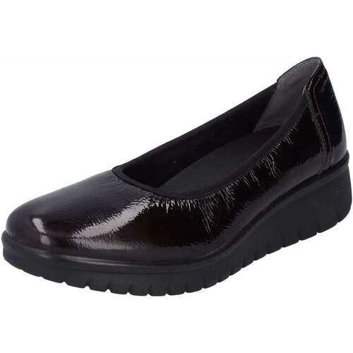 Chaussures Femme Ballerines / babies Westland Calais 85 Bordeaux