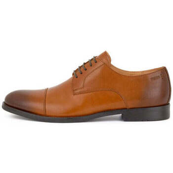 Chaussures Homme Derbies & Richelieu Digel Chaussures Skipp  marron Marron