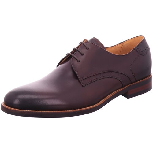 Chaussures Homme Derbies & Richelieu Digel  Marron