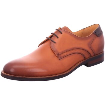 Chaussures Homme Derbies & Richelieu Digel  Marron