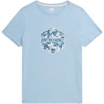 Vêtements Femme T-shirts manches longues Animal Carina Bleu