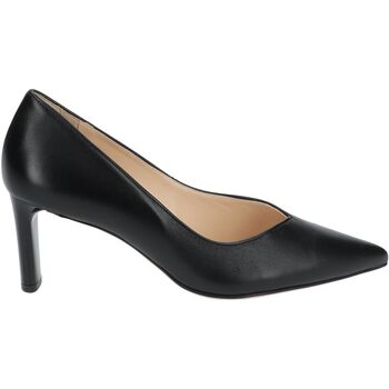 Chaussures Femme Escarpins Högl Escarpins Noir