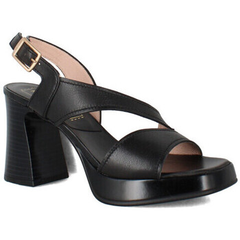 Chaussures Femme Sandales et Nu-pieds Hispanitas hv243298 Noir