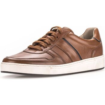 Chaussures Homme Baskets basses Pius Gabor Sneaker Marron