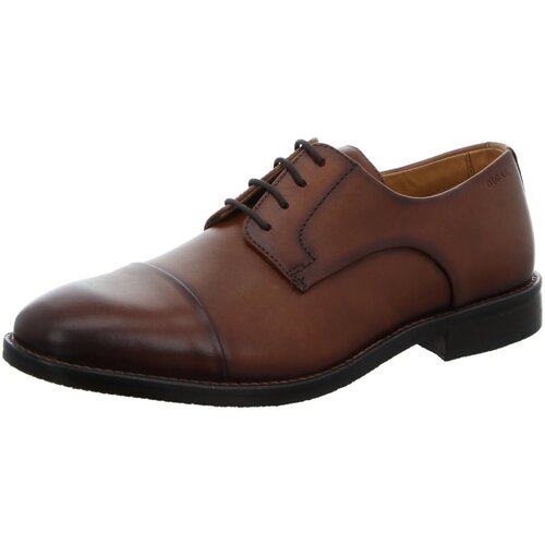 Chaussures Homme Derbies & Richelieu Digel  Marron