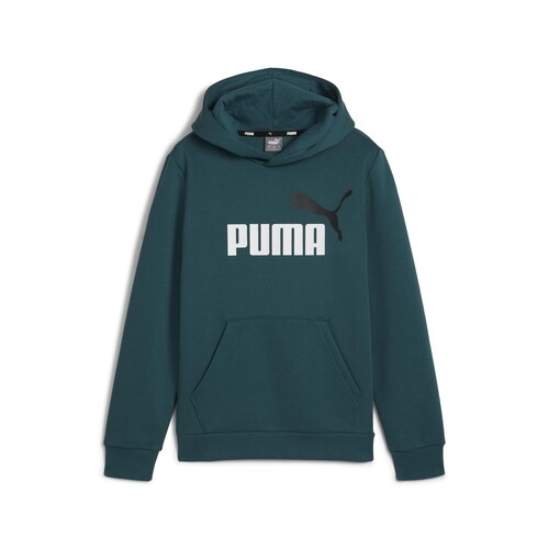 Vêtements Garçon Sweats Puma ESS+ 2 COL BIG LOGO HOODIE FL Vert