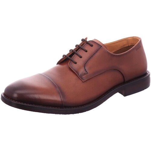 Chaussures Homme Derbies & Richelieu Digel  Marron