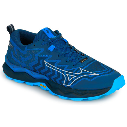 Chaussures Homme Running / trail Mizuno WAVE DAICHI 8 GTX Marine / Bleu