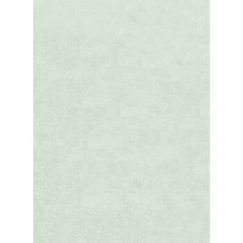 Maison & Déco Tapis Mani Textile Tapis d'intérieur Uni Vert