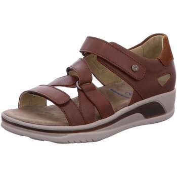 Chaussures Femme Sandales et Nu-pieds Wolky  Marron