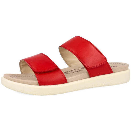 Chaussures Femme Sandales et Nu-pieds Westland Albi 03 Rouge