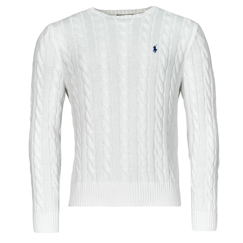 Vêtements Homme Pulls Polo Ralph Lauren PULL COL ROND EN MAILLE TORSADEE Blanc