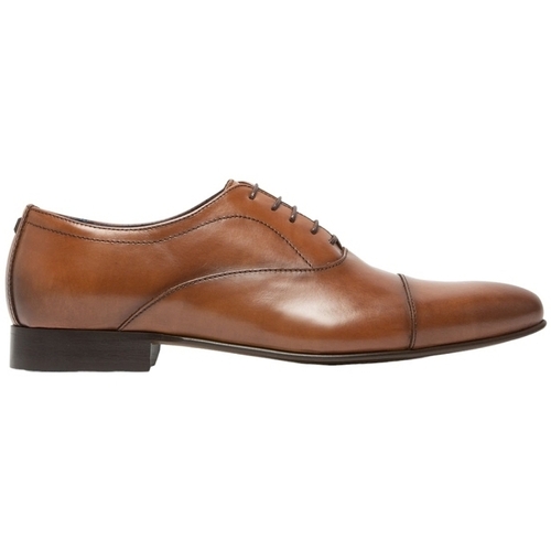 Chaussures Homme Derbies Azzaro CIPRIAN Marron