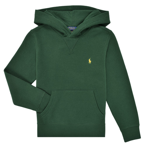 Vêtements Enfant Sweats Polo Ralph Lauren LS PO HOOD-TOPS-KNIT Vert