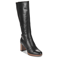 Chaussures Femme Bottes ville NeroGiardini  Noir