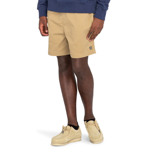 Vêtements Homme Shorts / Bermudas Element Valley Twill Vert