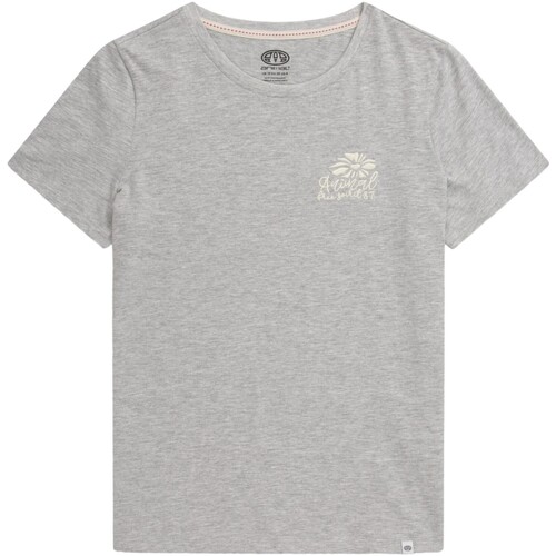 Vêtements Femme T-shirts manches longues Animal Sunrise Carina Gris