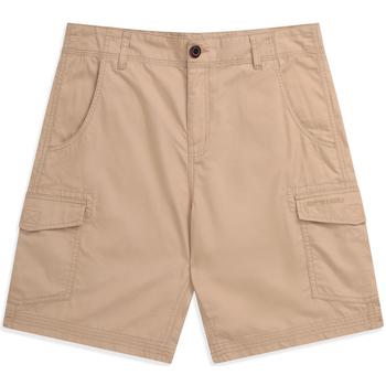 Vêtements Homme Shorts / Bermudas Animal Atlantis Beige