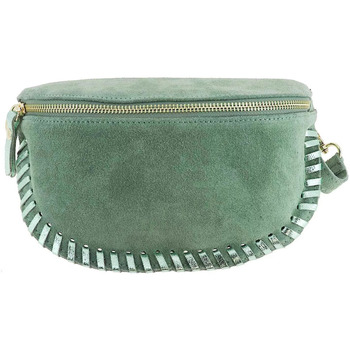 Sacs Femme Sacs Dupond Durand GUNZA sac banane en cuir Vert