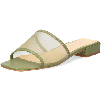 Chaussures Femme Sandales et Nu-pieds Andypola SELMA Kaki