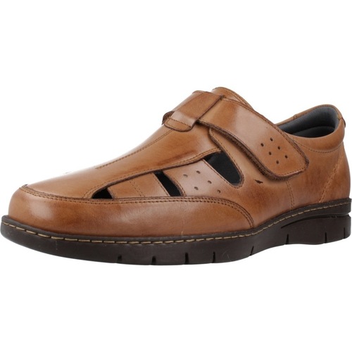 Chaussures Homme Sandales et Nu-pieds Pitillos 4030P Marron