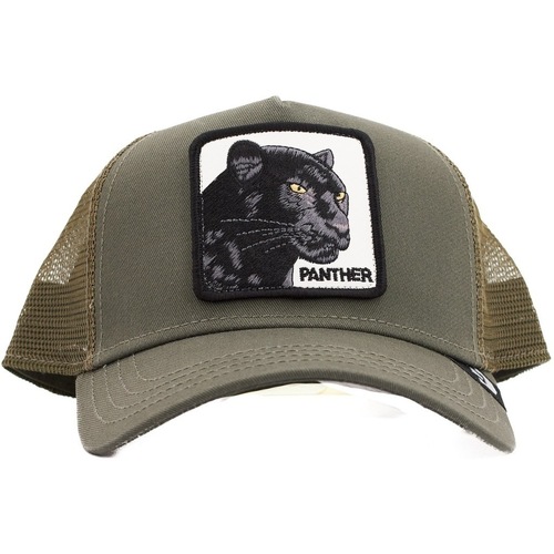 Accessoires textile Homme Casquettes Goorin Bros THE PANTHER Vert