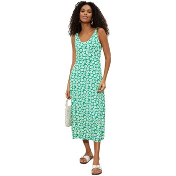 Vêtements Femme Robes Dorothy Perkins DP5488 Vert