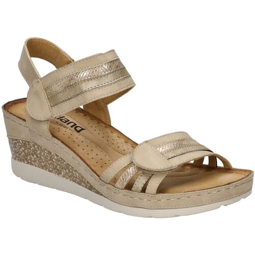 Chaussures Femme Sandales et Nu-pieds Westland  Beige