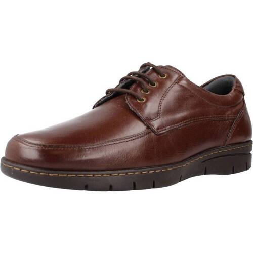 Chaussures Homme Derbies Pitillos 110P Marron