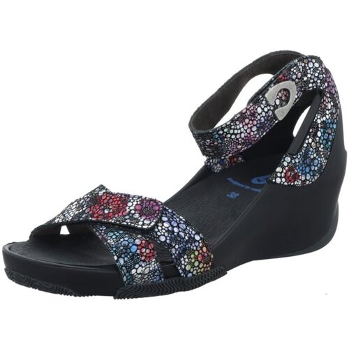 Chaussures Femme Sandales et Nu-pieds Wolky  Multicolore