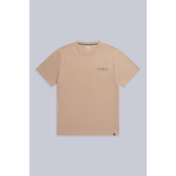 Vêtements Homme T-shirts manches longues Animal Chase Beige