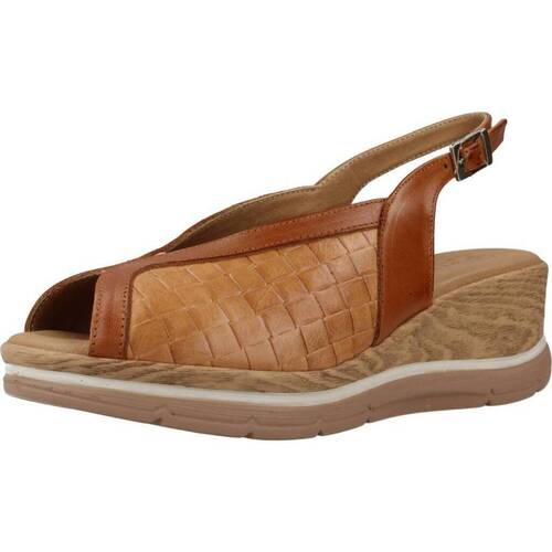 Chaussures Femme Sandales et Nu-pieds Pitillos 5024P Marron