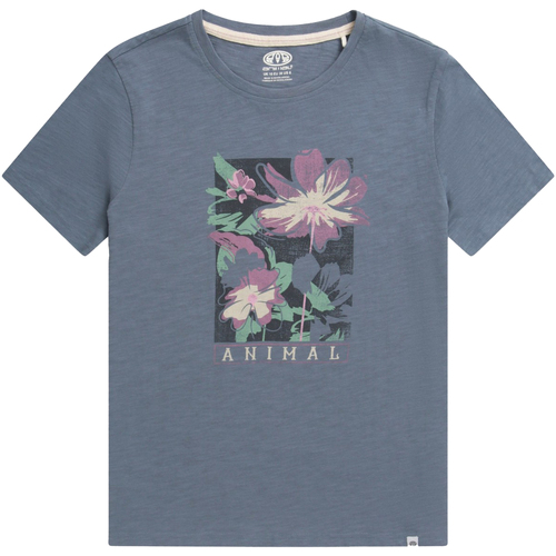 Vêtements Femme T-shirts manches longues Animal Canopy Carina Bleu